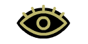 Icon of an eyeball